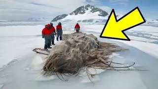Учёные в Антарктиде совершают неверотяное открытие. От которого волосы дыбом!