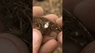 I found a £10,000 DIAMOND while METAL DETECTING 