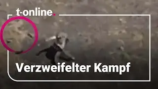 Verzweifelter Kampf gegen ukrainische Drohne