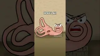 Penyebab Mabuk Perjalanan 