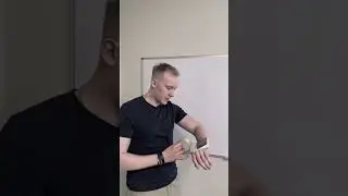 🤔 КАК УСПЕТЬ ВСЕ НА ЕГЭ?