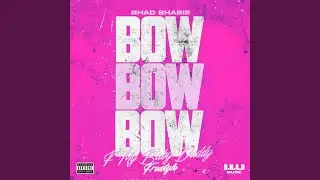 Bow Bow Bow (F My Baby Daddy Freestyle)