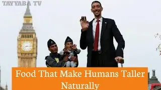 Food That Make Humans Taller Naturally|TAYYABA TV #tipsandtricks #healthy #challenge #foryou #top