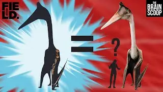 Going out on a limb for Quetzalcoatlus
