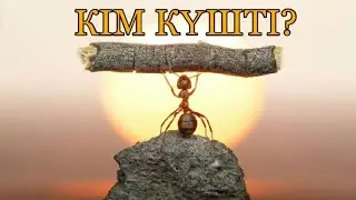 Кім күшті? | Қазақша ертегі | Сказки на казахском | Ертегилер