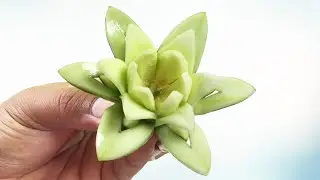 3 Cute Cucumber Flowers Carving Garnish