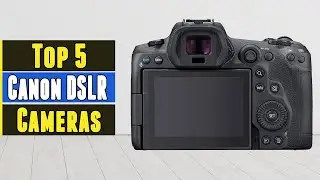 Top 5 Best Canon DSLR Cameras 2021