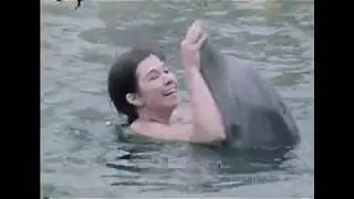 Dolphins at Seven Seas in Arlington - June 1973