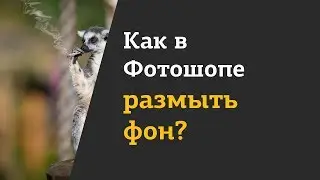 Как размыть фон в Фотошопе?
