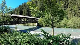 Lone Bridge In The Forrest