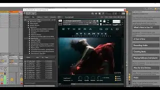 Best Cinematic Vocal Library | Zero G Ethera Gold Atlantis | No Talk Only Sounds