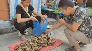 a 17-year-old single mother, harvesting ginger to sell, chopping firewood to store,Lý thị tuyết