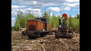 ТУ6А-2892 на погрузке. Лойгинская УЖД