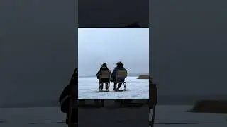 ❄️