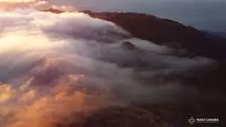Madeira - Mini 2