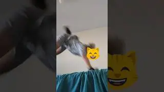 Первое видео о квардробике. Пока у меня нет маски