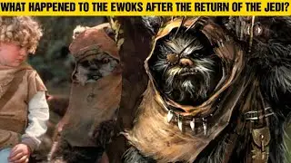 What Happened To The Ewoks After The Battle Of Endor? 