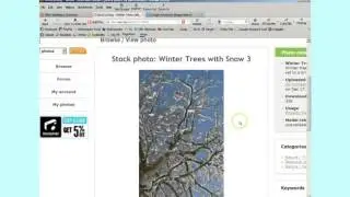 Where To Get Free Images for Blogs
