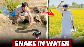 Fake Snake In Water 💧