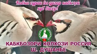 Кабкбозори Колхози Россия ш. Душанбе 05.02.2023