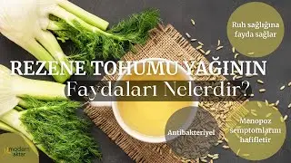 MODERN AKTAR REZENE YAĞI | FAYDALARI NELERDİR?