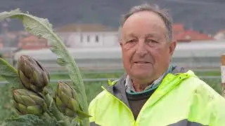 TIPICOSÌ il Carciofo Spinoso di Albenga