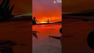 Ламаз дитар