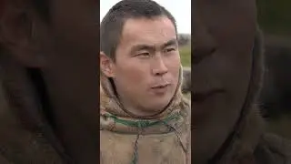 О современных вещах в тундре #жизньвтундре #природа #ямальскийрайон