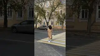 Осень близко 🍂