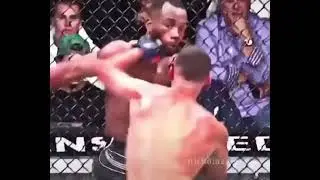 Показ удар в бою . Ник и Нейт Диаз. 