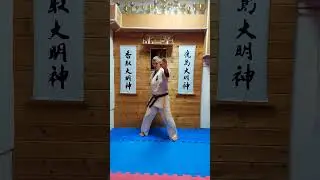 Удары Шуто - Каратэ Киокушин / Shuto Рunches - Kyokushin Karate #каратэ #киокушин #solodovnikovdojo