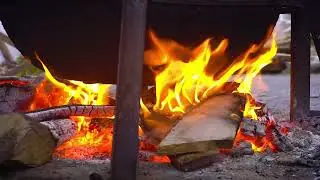 Красота в глазах смотрящего🌹 