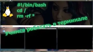 Linux - Терминал в Ubuntu, shell, bash, базовые команды, права доступа к файлам.