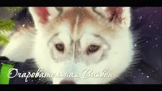 Приглашение на День Рождения!!!