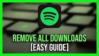 How To Remove Downloaded Spotify Songs - 2024