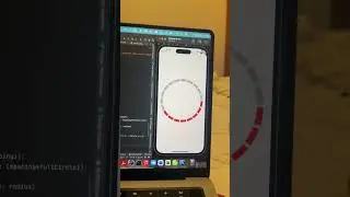 Draw Story/Status view arc with Flutter  