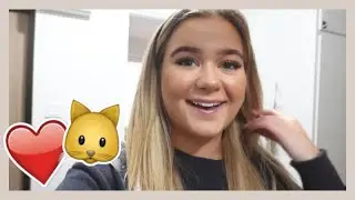VI HÄMTAR VÅR RAGDOLL KATTUNGE