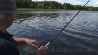 Рыбалка на северной Сосьве. Язь.