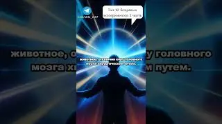 Топ 10 безумных экспериментов(вторая часть) 