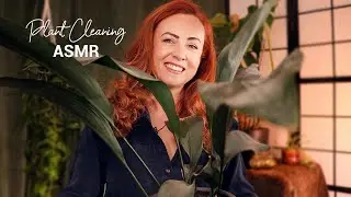 ASMR Plant Cleaning 🪴 Relaxing Pottering & Chatting