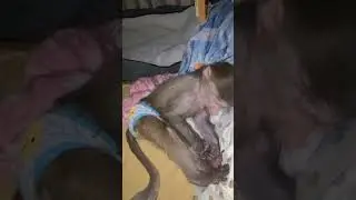 Уматали сегодня мы наших девочек 😁 спокойной ночки 😴