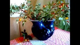 Новая юбка из б/у джинсы? Легко!