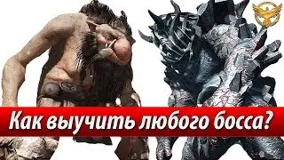 Black Desert – Знания на боссов | Гайды Black Desert