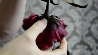 делаю розы из фоамирана, мк Александра Троицкая