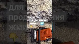 Заточка цепи бензопилы 