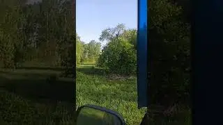 наша природа