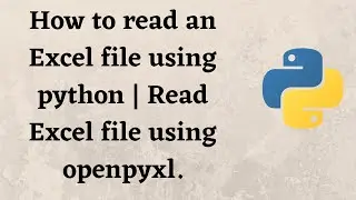 How to read an Excel file using python | Read Excel file using openpyxl.