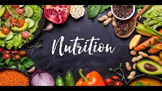 Fat loss Tips for Hunger Management