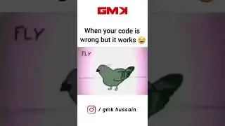 When your code is wrong but it works meme