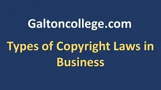 Types of Copyright Laws in Business